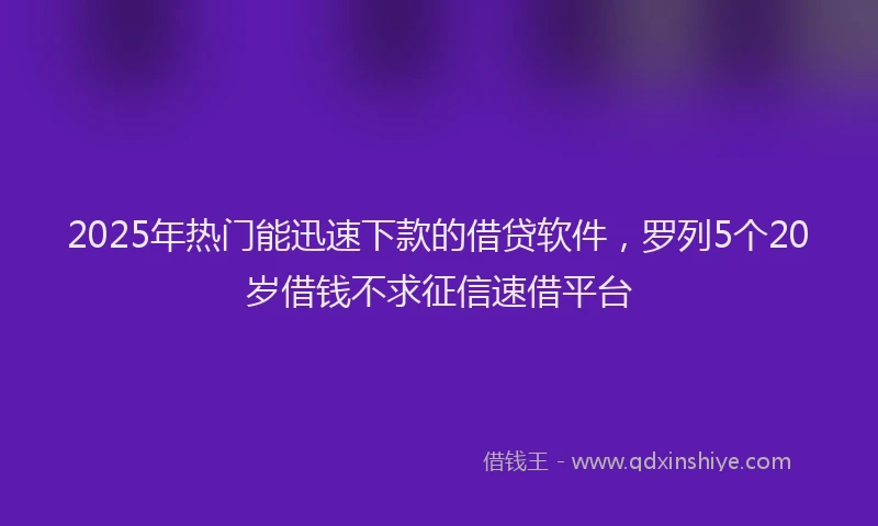 2025年热门能迅速下款的借贷软件，罗列5个20岁借钱不求征信速借平台