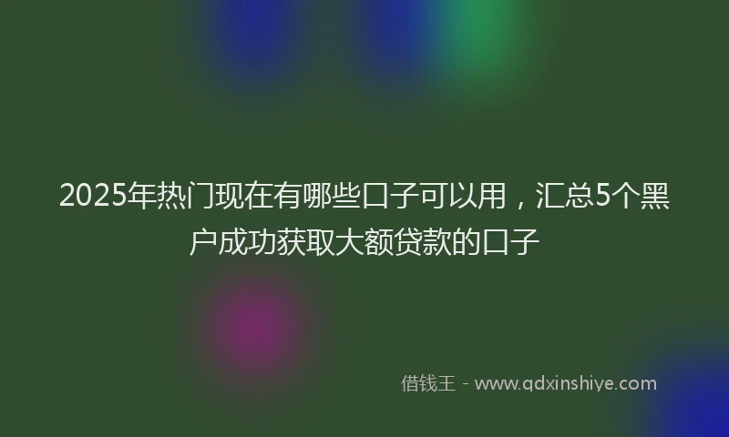 2025年热门现在有哪些口子可以用，汇总5个黑户成功获取大额贷款的口子