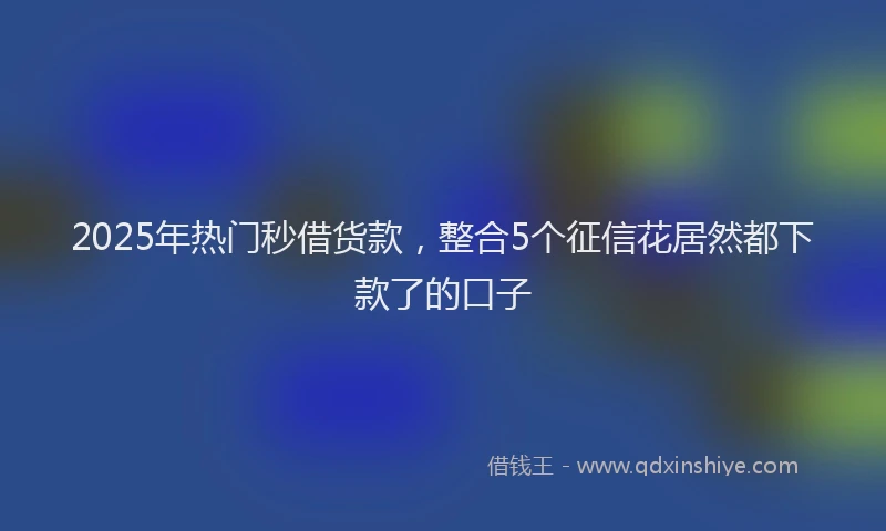 2025年热门秒借货款，整合5个征信花居然都下款了的口子
