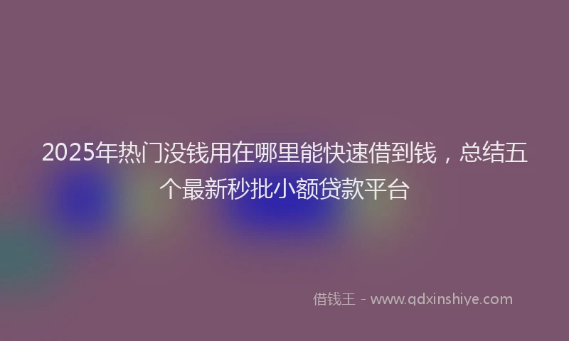 2025年热门没钱用在哪里能快速借到钱，总结五个最新秒批小额贷款平台