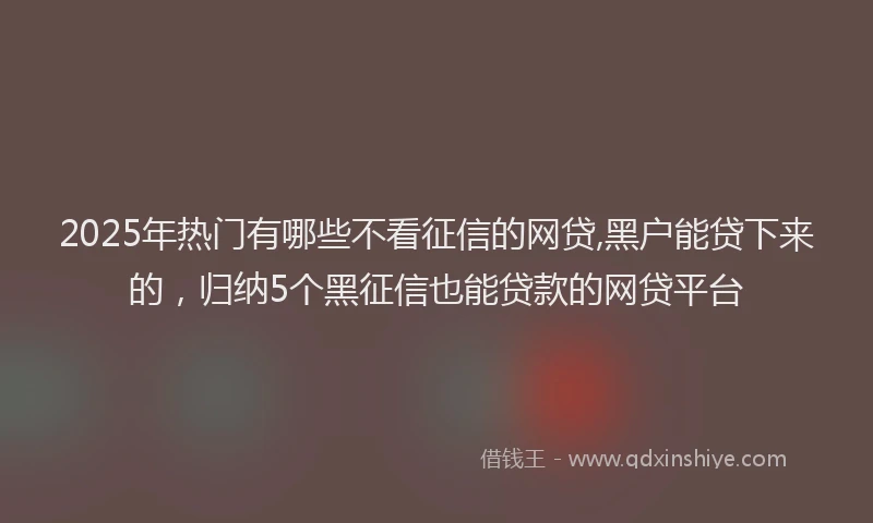 2025年热门有哪些不看征信的网贷,黑户能贷下来的，归纳5个黑征信也能贷款的网贷平台