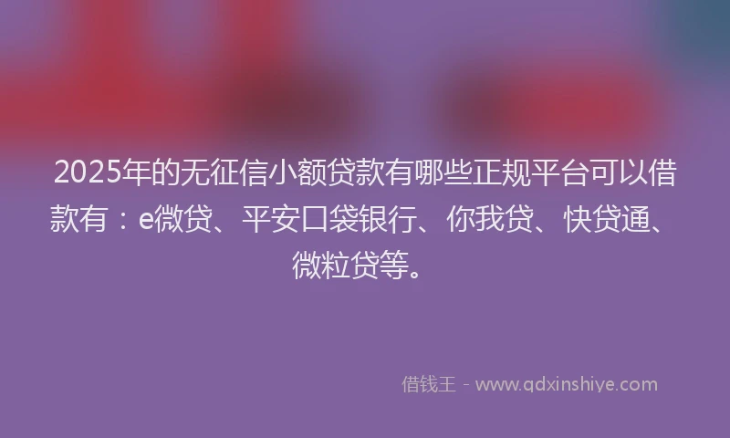 2025年的无征信小额贷款有哪些正规平台可以借款有：e微贷、平安口袋银行、你我贷、快贷通、微粒贷等。
