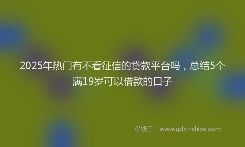 2025年热门有不看征信的贷款平台吗，总结5个满19岁可以借款的口子