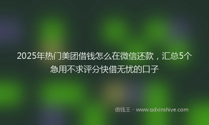 2025年热门美团借钱怎么在微信还款，汇总5个急用不求评分快借无忧的口子