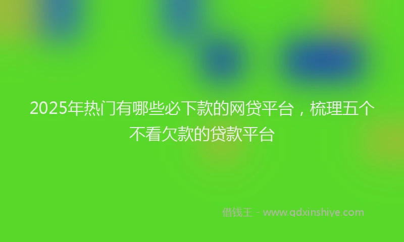 2025年热门有哪些必下款的网贷平台，梳理五个不看欠款的贷款平台