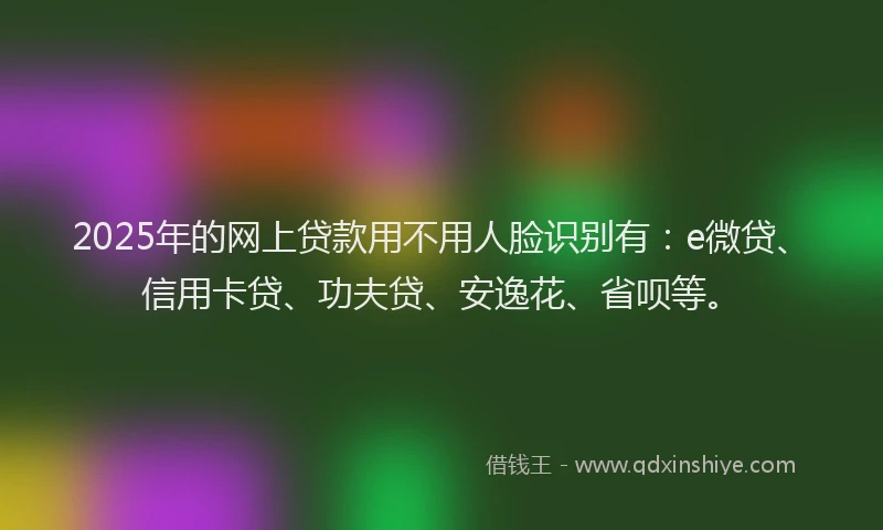 2025年的网上贷款用不用人脸识别有：e微贷、信用卡贷、功夫贷、安逸花、省呗等。