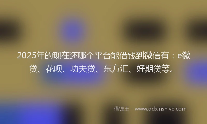 2025年的现在还哪个平台能借钱到微信有：e微贷、花呗、功夫贷、东方汇、好期贷等。