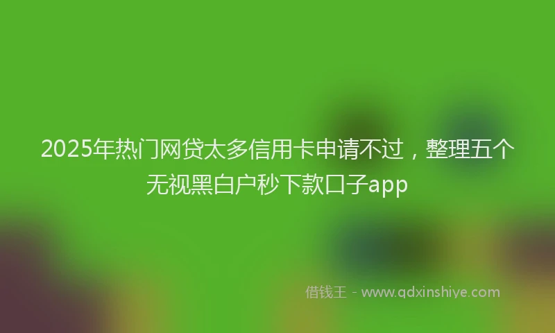 2025年热门网贷太多信用卡申请不过，整理五个无视黑白户秒下款口子app