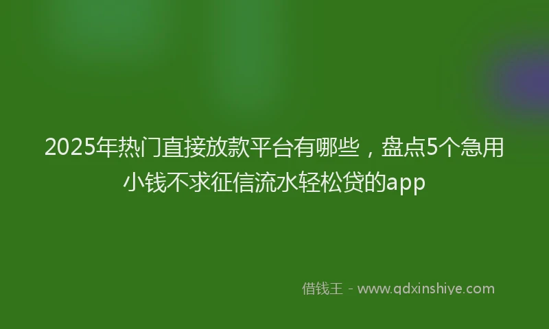 2025年热门直接放款平台有哪些，盘点5个急用小钱不求征信流水轻松贷的app