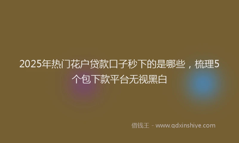 2025年热门花户贷款口子秒下的是哪些，梳理5个包下款平台无视黑白