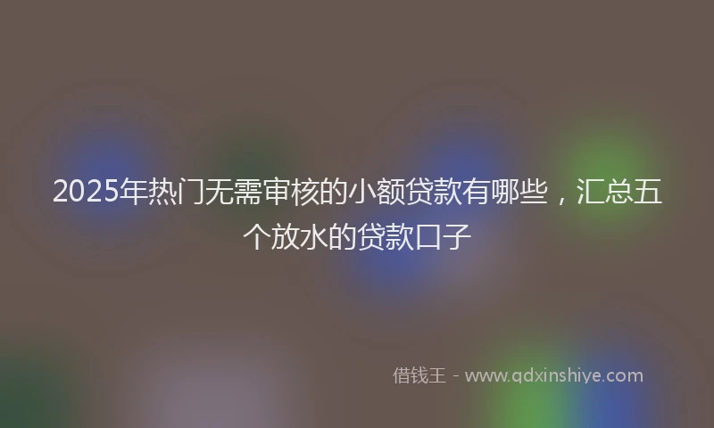 2025年热门无需审核的小额贷款有哪些，汇总五个放水的贷款口子