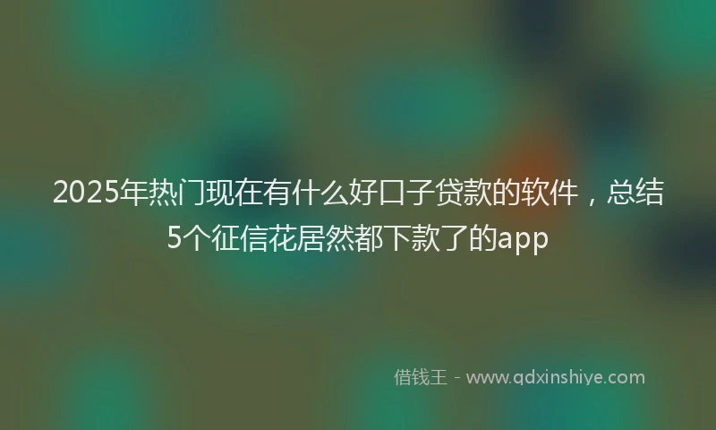 2025年热门现在有什么好口子贷款的软件，总结5个征信花居然都下款了的app