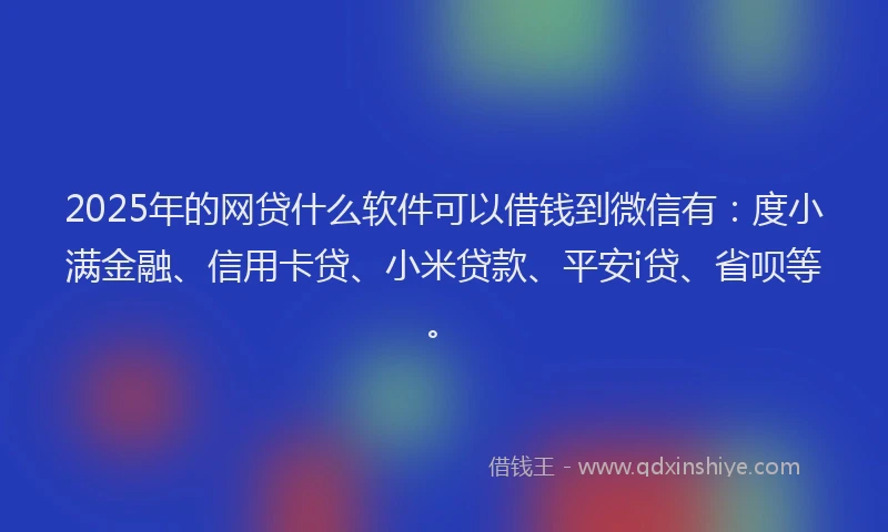 2025年的网贷什么软件可以借钱到微信有：度小满金融、信用卡贷、小米贷款、平安i贷、省呗等。