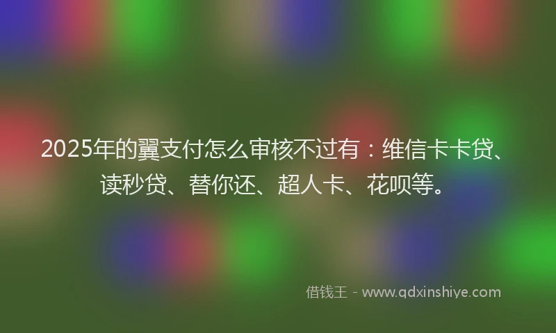 2025年的翼支付怎么审核不过有：维信卡卡贷、读秒贷、替你还、超人卡、花呗等。