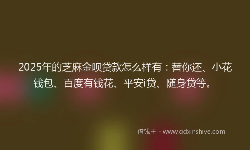 2025年的芝麻金呗贷款怎么样有：替你还、小花钱包、百度有钱花、平安i贷、随身贷等。