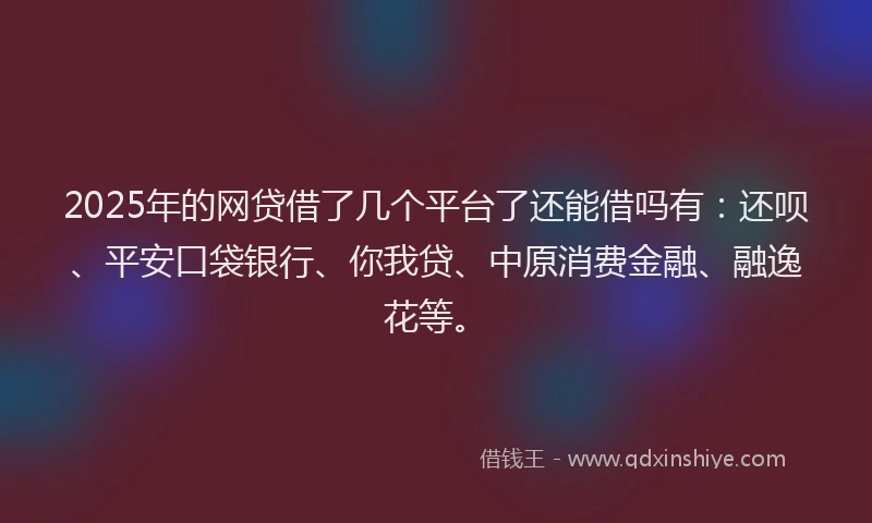 2025年的网贷借了几个平台了还能借吗有：还呗、平安口袋银行、你我贷、中原消费金融、融逸花等。