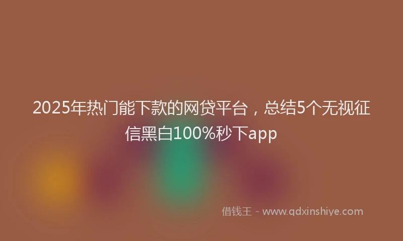 2025年热门能下款的网贷平台，总结5个无视征信黑白100%秒下app