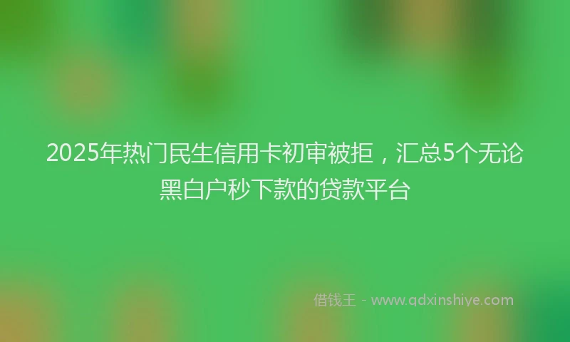 2025年热门民生信用卡初审被拒，汇总5个无论黑白户秒下款的贷款平台