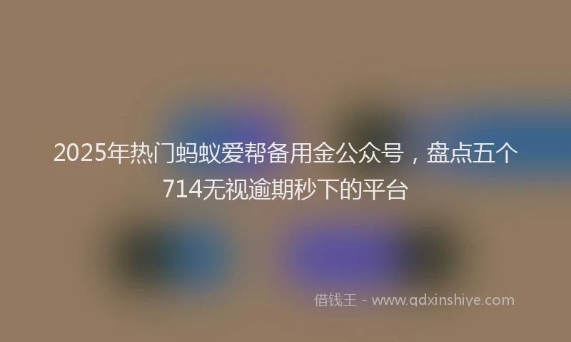 2025年热门蚂蚁爱帮备用金公众号，盘点五个714无视逾期秒下的平台