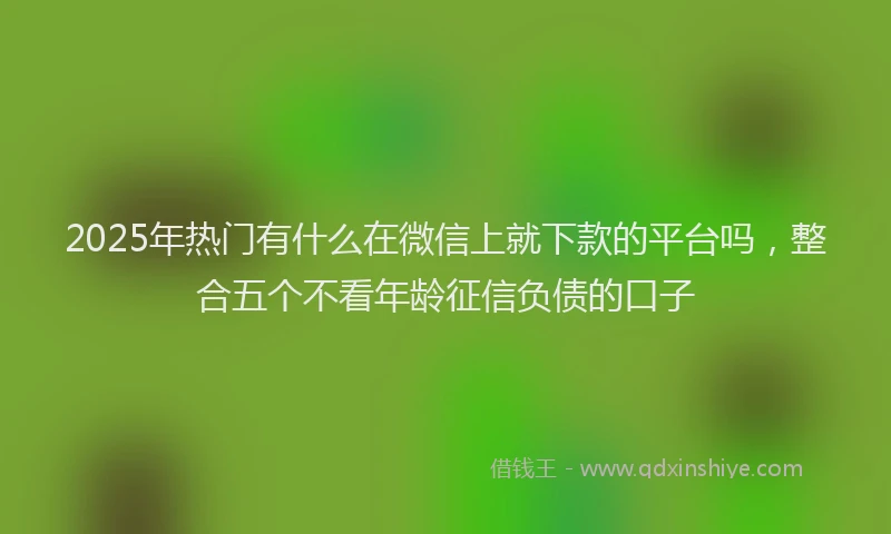 2025年热门有什么在微信上就下款的平台吗，整合五个不看年龄征信负债的口子