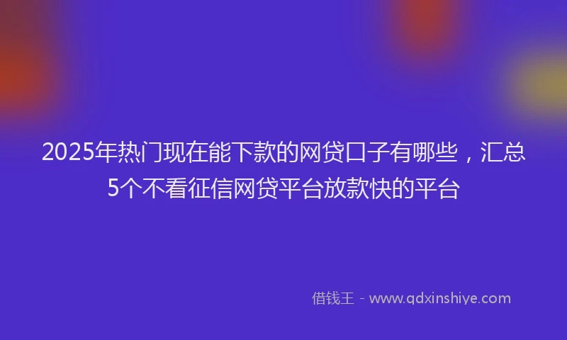 2025年热门现在能下款的网贷口子有哪些，汇总5个不看征信网贷平台放款快的平台