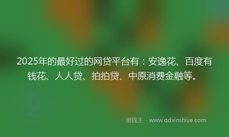 2025年的最好过的网贷平台有：安逸花、百度有钱花、人人贷、拍拍贷、中原消费金融等。