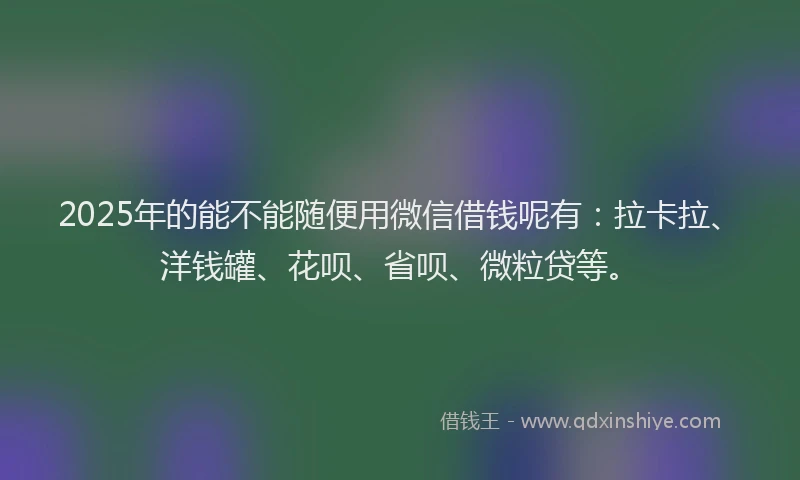 2025年的能不能随便用微信借钱呢有：拉卡拉、洋钱罐、花呗、省呗、微粒贷等。
