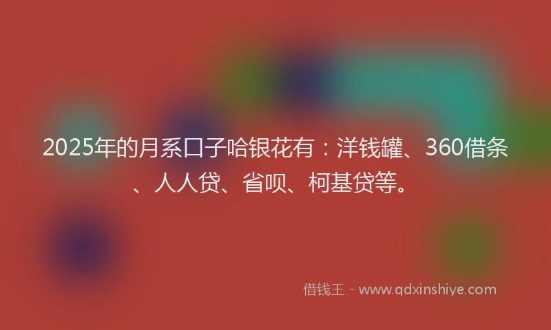 2025年的月系口子哈银花有：洋钱罐、360借条、人人贷、省呗、柯基贷等。