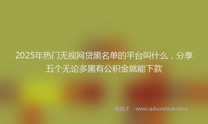 2025年热门无视网贷黑名单的平台叫什么，分享五个无论多黑有公积金就能下款