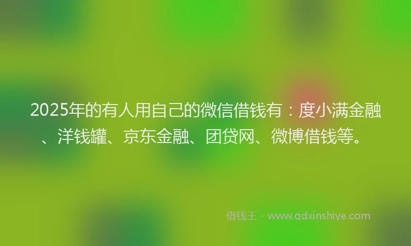 2025年的有人用自己的微信借钱有：度小满金融、洋钱罐、京东金融、团贷网、微博借钱等。