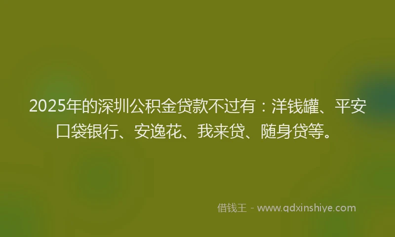 2025年的深圳公积金贷款不过有：洋钱罐、平安口袋银行、安逸花、我来贷、随身贷等。
