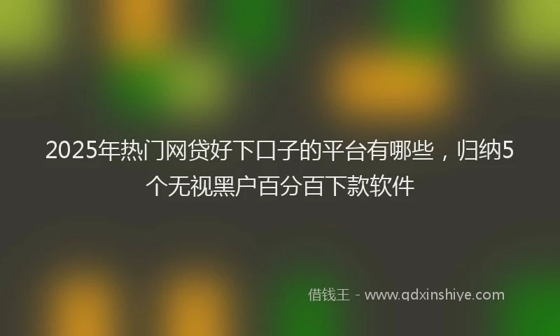 2025年热门网贷好下口子的平台有哪些，归纳5个无视黑户百分百下款软件