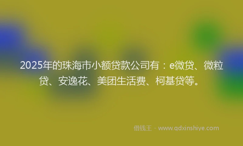 2025年的珠海市小额贷款公司有：e微贷、微粒贷、安逸花、美团生活费、柯基贷等。