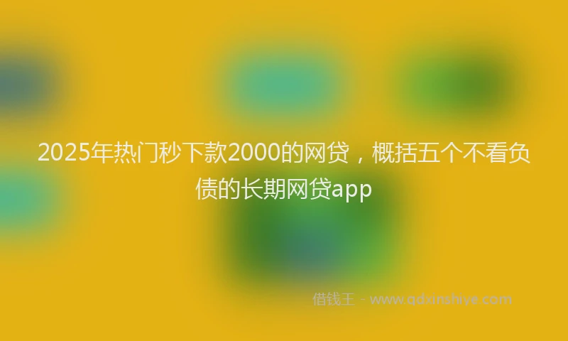 2025年热门秒下款2000的网贷，概括五个不看负债的长期网贷app