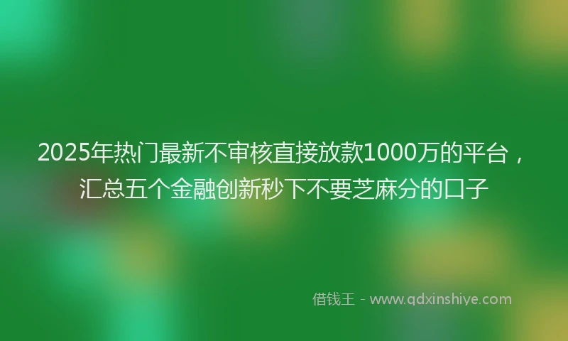 2025年热门最新不审核直接放款1000万的平台，汇总五个金融创新秒下不要芝麻分的口子