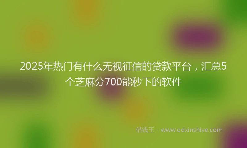 2025年热门有什么无视征信的贷款平台，汇总5个芝麻分700能秒下的软件
