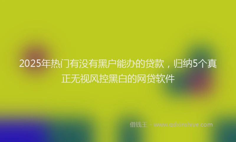 2025年热门有没有黑户能办的贷款，归纳5个真正无视风控黑白的网贷软件