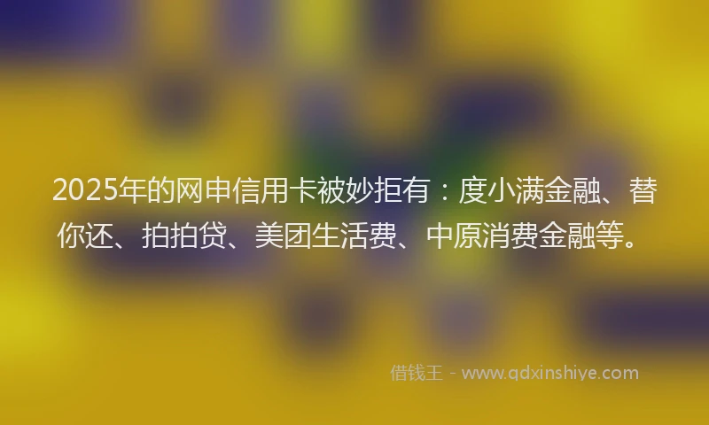 2025年的网申信用卡被妙拒有：度小满金融、替你还、拍拍贷、美团生活费、中原消费金融等。