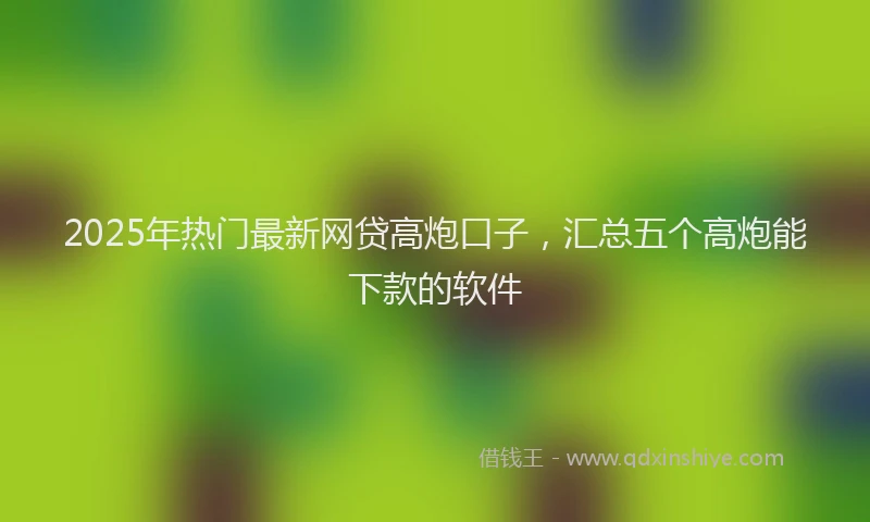 2025年热门最新网贷高炮口子，汇总五个高炮能下款的软件