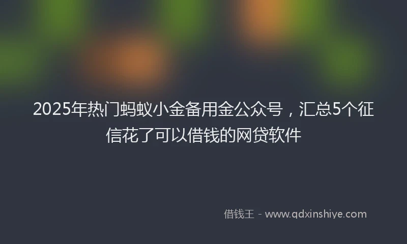 2025年热门蚂蚁小金备用金公众号，汇总5个征信花了可以借钱的网贷软件