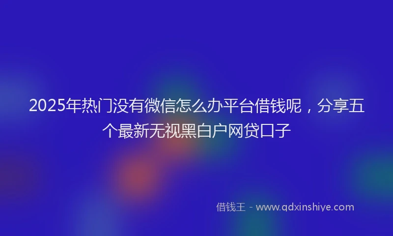 2025年热门没有微信怎么办平台借钱呢，分享五个最新无视黑白户网贷口子