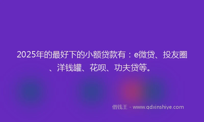 2025年的最好下的小额贷款有：e微贷、投友圈、洋钱罐、花呗、功夫贷等。