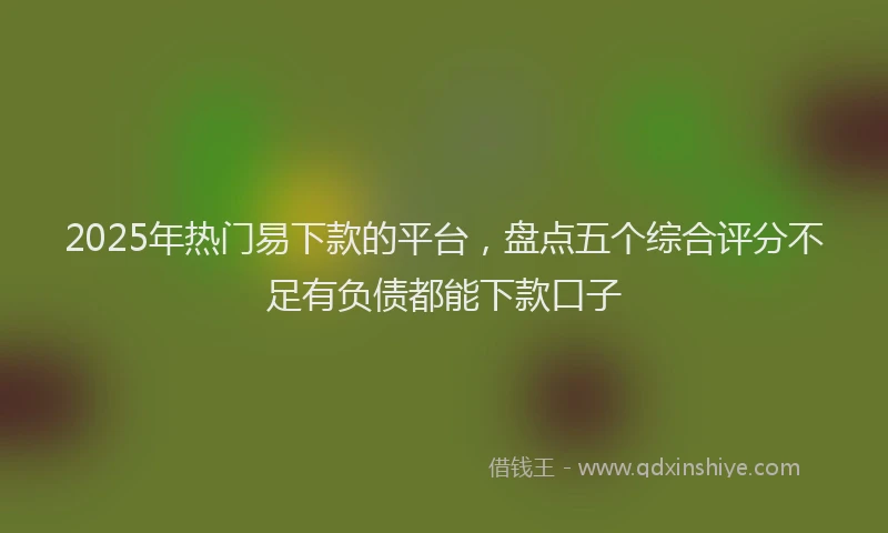 2025年热门易下款的平台，盘点五个综合评分不足有负债都能下款口子