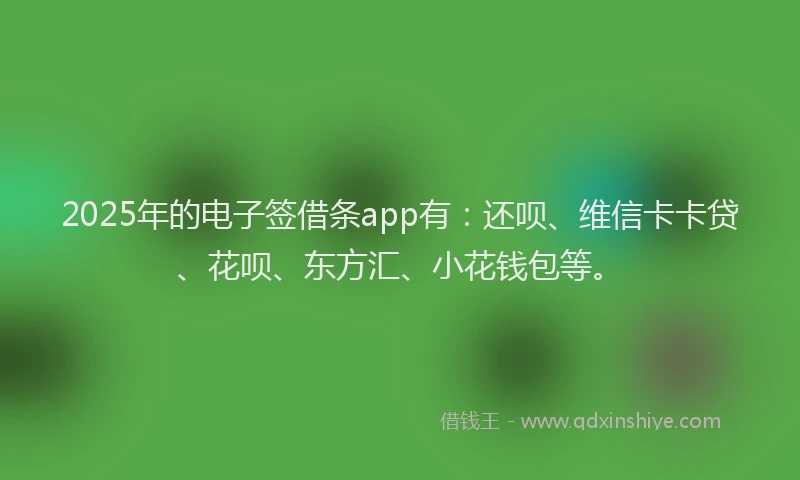 2025年的电子签借条app有：还呗、维信卡卡贷、花呗、东方汇、小花钱包等。