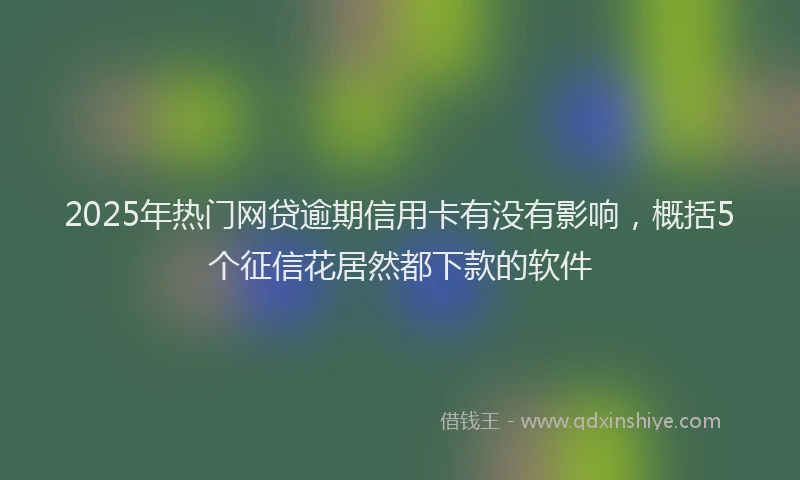 2025年热门网贷逾期信用卡有没有影响，概括5个征信花居然都下款的软件
