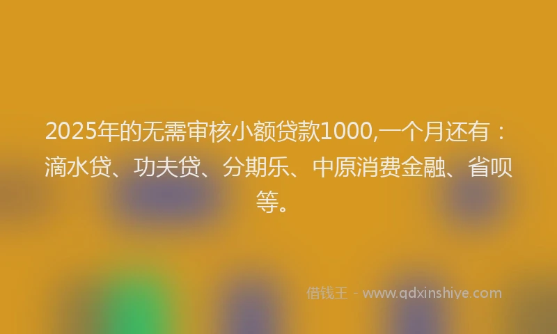 2025年的无需审核小额贷款1000,一个月还有：滴水贷、功夫贷、分期乐、中原消费金融、省呗等。