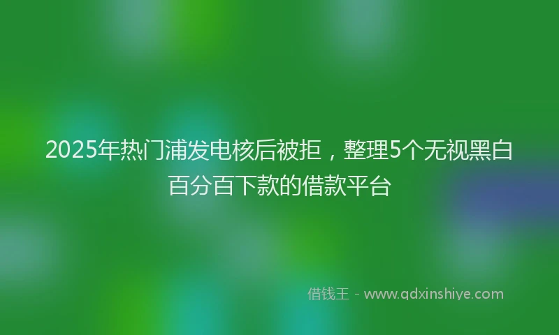 2025年热门浦发电核后被拒，整理5个无视黑白百分百下款的借款平台