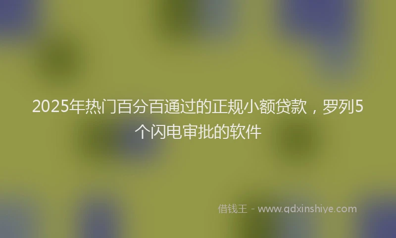 2025年热门百分百通过的正规小额贷款，罗列5个闪电审批的软件