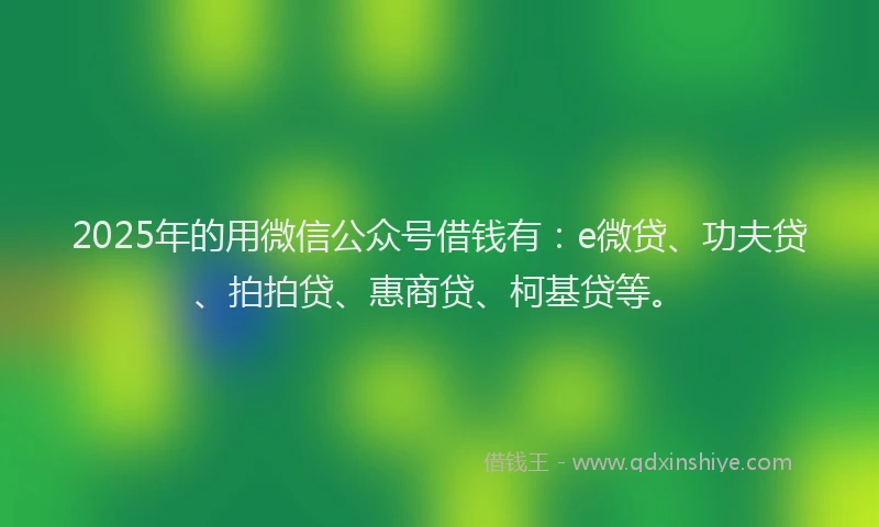 2025年的用微信公众号借钱有：e微贷、功夫贷、拍拍贷、惠商贷、柯基贷等。