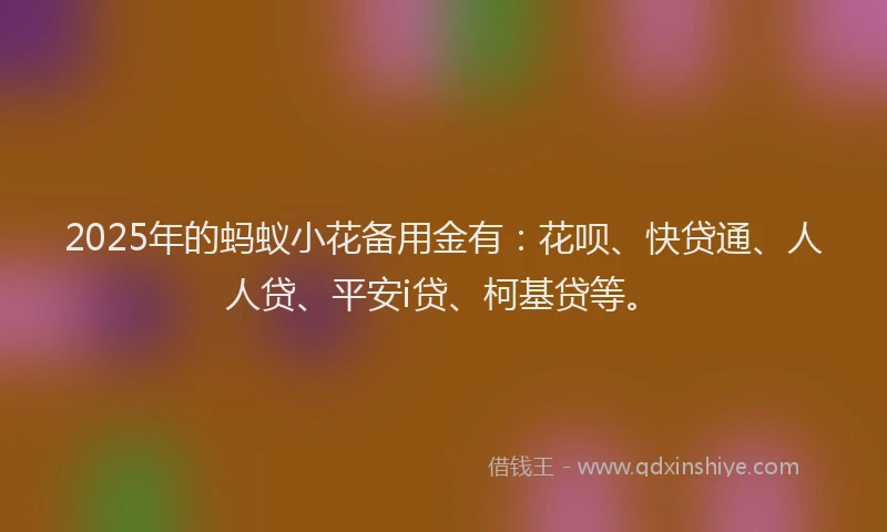 2025年的蚂蚁小花备用金有：花呗、快贷通、人人贷、平安i贷、柯基贷等。